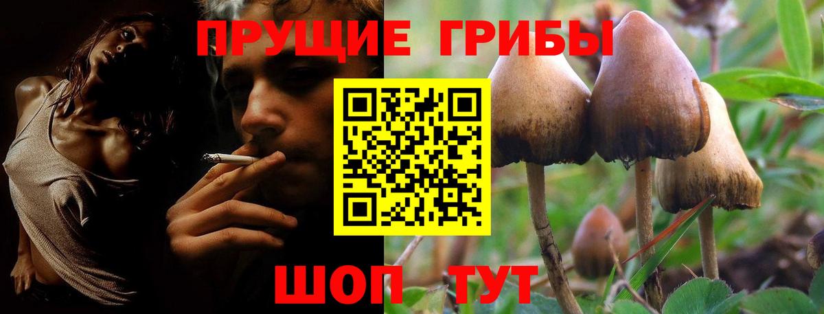 Псилоцибиновые грибы ЛСД Шелехов